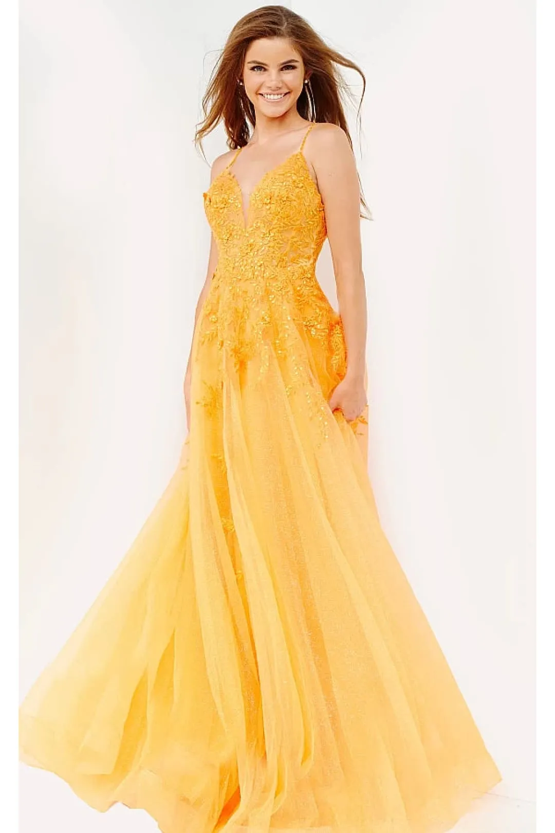 Applique Sleeveless A-line Gown by Jovani 02266