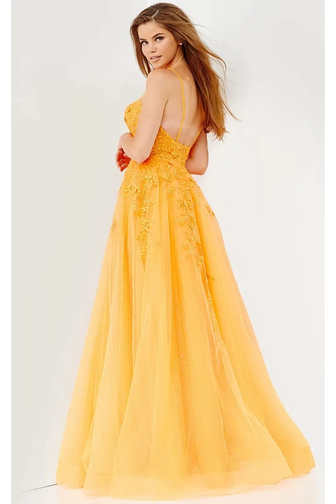 Applique Sleeveless A-line Gown by Jovani 02266